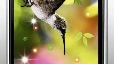 Capture d'écran de Colibri Spring 3D LWP 3
