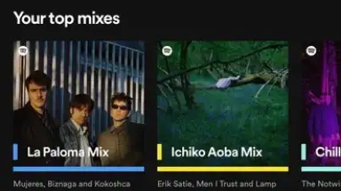 Capture d'écran de Spotify 11