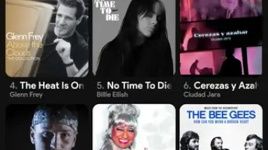 Capture d'écran de Spotistats for Spotify 3