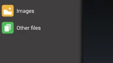 Capture d'écran de GetThemAll Any File Downloader 1