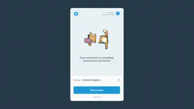 Capture d'écran de hidemy.name VPN 10