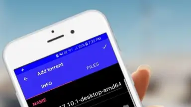 Capture d'écran de Flash Torrent Downloader - Movie, Music Download 2