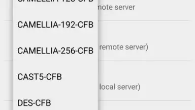 Capture d'écran de Shadowsocks 9