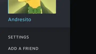 Capture d'écran de Steam Chat 6