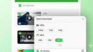 Capture d'écran de AnyVid - HD Video Downloader 6