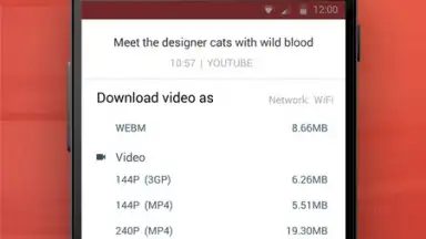 Capture d'écran de InsTube YouTube Downloader 4