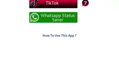 Capture d'écran de VidGet - YouTube, Insta and TikTok downloader 1