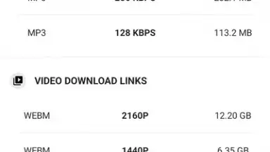 Capture d'écran de YVideo Downloader 4
