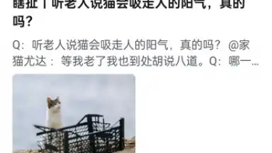 Capture d'écran de Zhihu 13