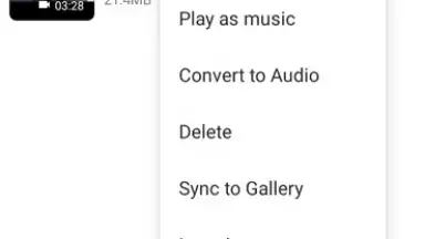 Capture d'écran de Video Downloader & Video Saver 9
