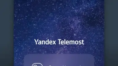 Capture d'écran de Yandex.Telemost 3