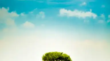 Capture d'écran de Cute Weather Widget 2