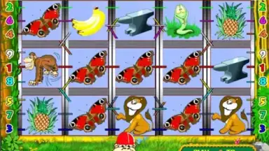 Capture d'écran de Crazy monkey slot 5