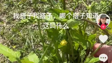 Capture d'écran de Douyin Express Edition 1