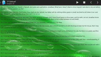 Capture d'écran de Holy Bible King James Version 10