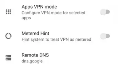 Capture d'écran de Shadowsocks 19