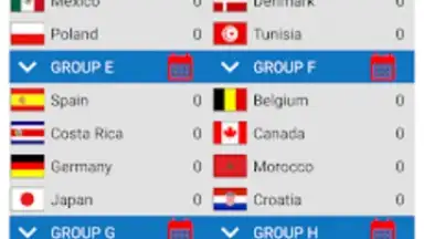 Capture d'écran de World Football Simulator 11