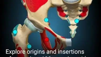 Capture d'écran de 3D Anatomy Learning 2