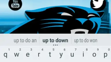 Capture d'écran de Chetah Browser 5