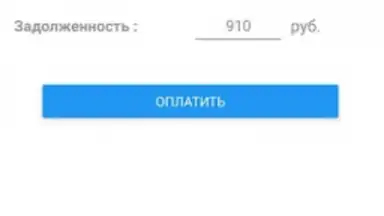 Capture d'écran de ТКО ДМС 1