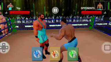 Capture d'écran de Tag Team Wrestling Games: Mega Cage Ring Fighting 9