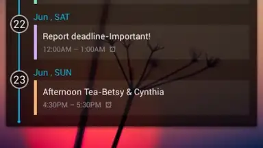 Capture d'écran de GO Calendar Widget 5