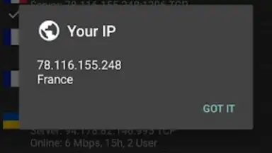 Capture d'écran de VPN Servers 8