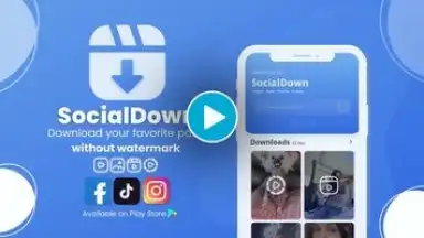 Capture d'écran de SocialDown: no watermark 1