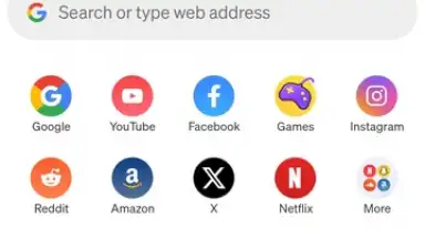 Capture d'écran de Phoenix Browser 1