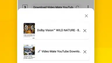 Capture d'écran de Vidora YouTube Downloader | free & fast 11