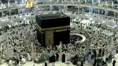 Capture d'écran de Halal Check 4