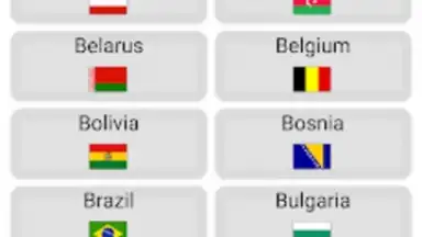 Capture d'écran de World Football Simulator 13