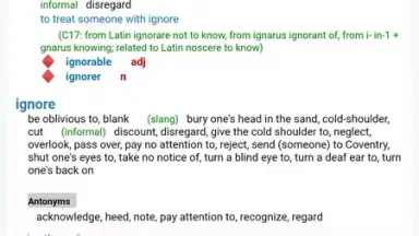 Capture d'écran de Reverso Translation Dictionary 21