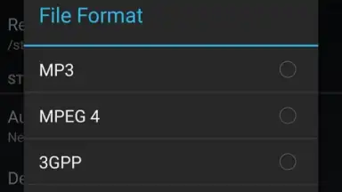 Capture d'écran de MP3 Call Recorder 3