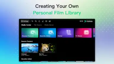 Capture d'écran de VidHub 11