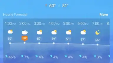 Capture d'écran de Local Weather Widget 1