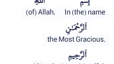 Capture d'écran de Halal Check 3