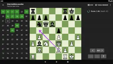 Capture d'écran de Chess Tactics Pro 8