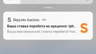 Capture d'écran de SkyLots: аукцион и маркетплейс 1