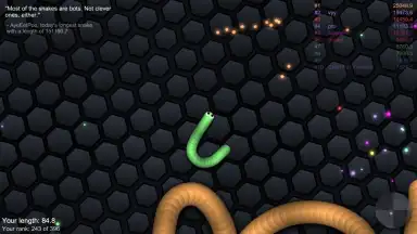 Capture d'écran de slither.io 2