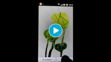 Capture d'écran de STEAMY живые обои 1