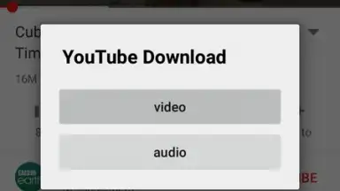 Capture d'écran de YouTube Download 2