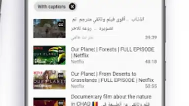Capture d'écran de Lingvotube 3