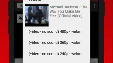 Capture d'écran de SnobTUBE - Video Audio Downloader 9