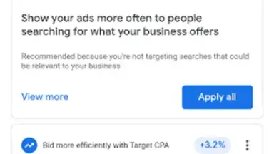 Capture d'écran de Google Ads 3