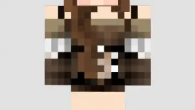 Capture d'écran de Skins For Minecraft 2