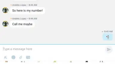 Capture d'écran de Skype Lite 13