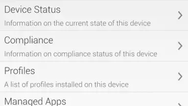 Capture d'écran de AirWatch Agent 16