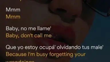 Capture d'écran de Musixmatch 6