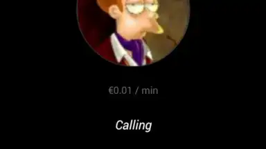 Capture d'écran de Hangouts Dialer 4